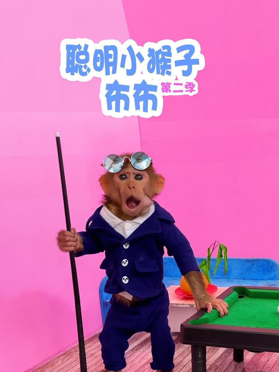 聪明小猴子布布 第二季