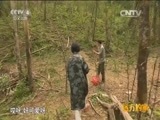 远方的家 《远方的家》 五一特别节目 第一次亲密接触 20150502