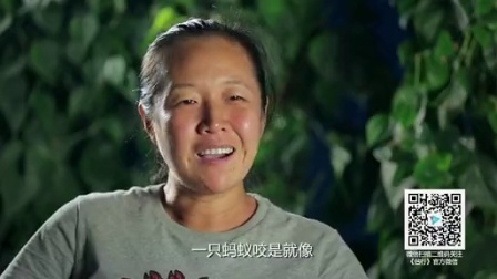 侣行 第二季 英雄难过蚂蚁关(上)·亚马逊