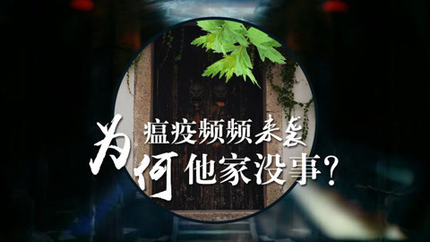 本草说 艾叶竟有如此神效？