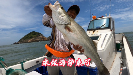 阿杰今天人品爆发碰到米级海鲈，强大的拉力差点被拖下水，太爽了