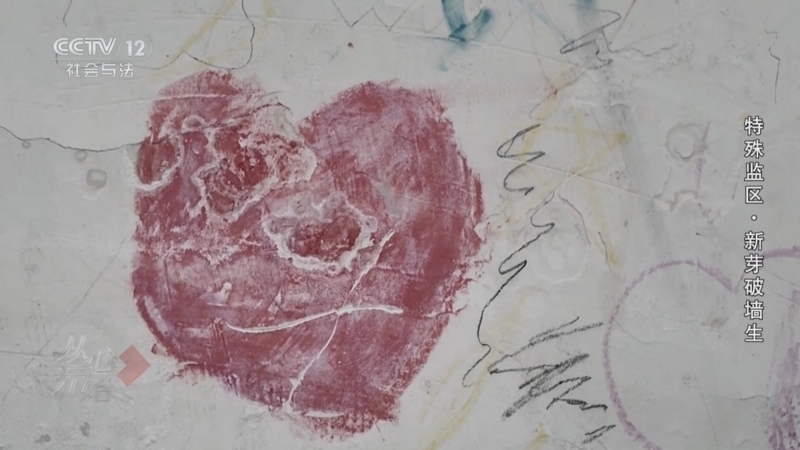 《从心开始》 20251130 特殊监区·新芽破墙生