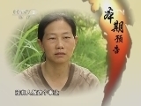 生财有道 [生财有道]有机是怎样炼成的（20120619）
