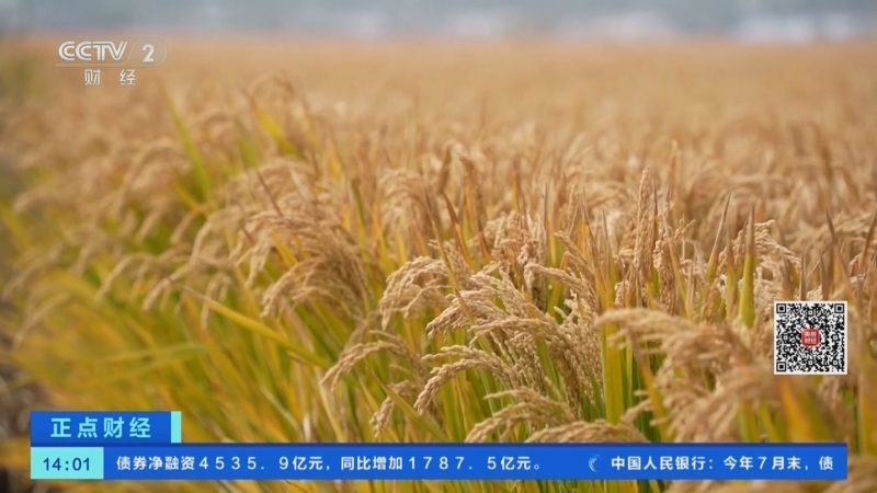 正点财经 《正点财经》 20260825 14:00