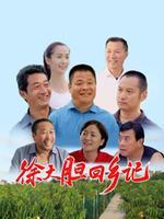 徐大胆回乡记 海报