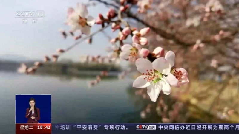 共同关注 《共同关注》 20230314