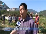 东南晚报 《东南晚报》 20171025