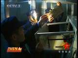 军事报道 军事报道 2010-03-04