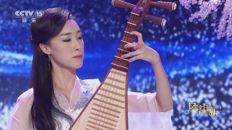 风华国乐 《风华国乐》 20220721