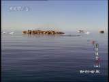 动物世界 动物世界 2010年 第108期