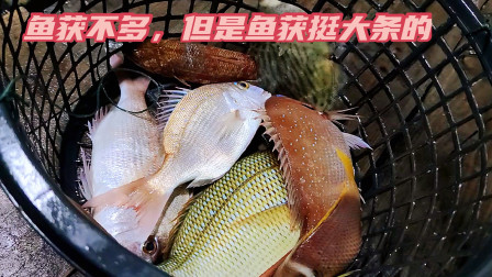 彪哥还是喜欢外海捕鱼，因为渔获比较多，收入相对稳定很多