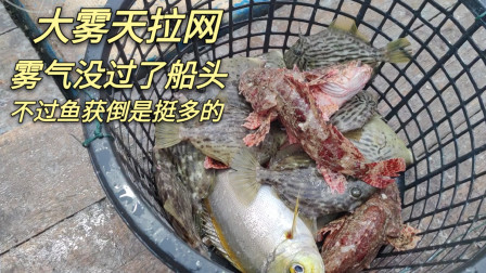 南澳岛赶海日记 渔民大雾天冒着危险去外海捕鱼，捕获这种长相奇丑的鱼，价格却挺高的