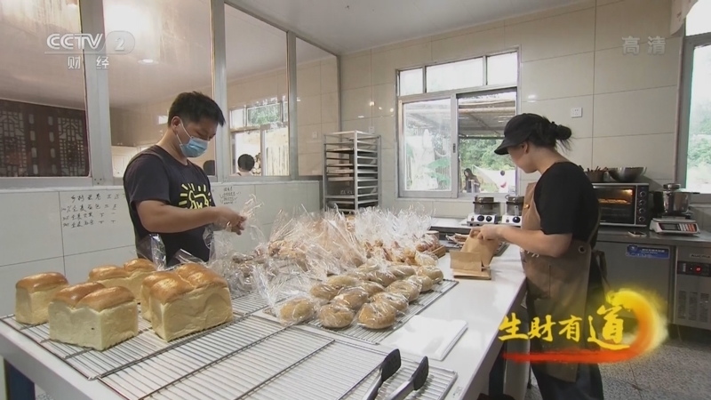 生财有道 《生财有道》 20221020 湖南长沙县：能干新农人 带火一方风物