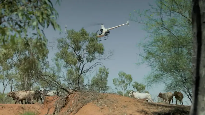 《奇迹之地第二季》第1集