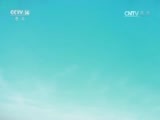 小小智慧树 《小小智慧树》 20170223
