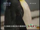 地球密码（周末精编节目） 周末精编节目 2010年 第212期 1-2