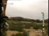 动物世界 动物世界 2010年 第218期