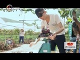 你是我的旅伴 《你是我的旅伴》 20151001 宾川异域风情之旅