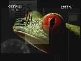 动物世界 《动物世界》 20120505