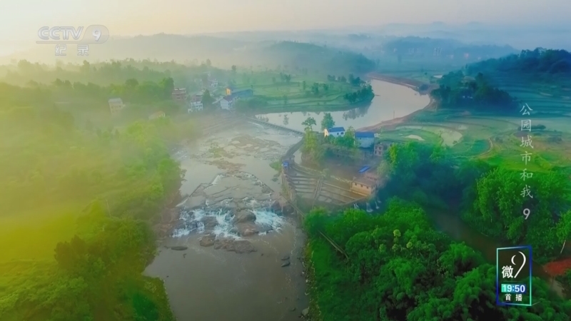 《公园城市和我》 第9集 匡晓明：理想之城