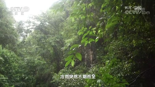 地理中国 《地理中国》 20190328 “浮石”传奇（上）