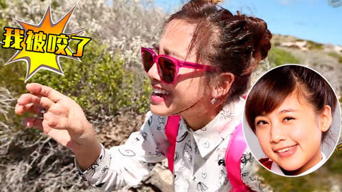 鬼鬼吴映洁闹西澳 徒手抓蜥蜴被咬手