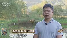 致富经 [致富经]为爱回乡 深山寻宝 20161102