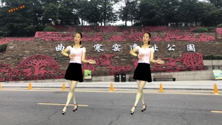 蓝莓思洁广场舞 精选广场舞《梦的衣裳》柔美情歌 优美舞姿 百看不厌