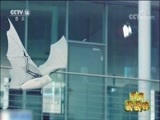 新闻袋袋裤 《新闻袋袋裤》 20180426