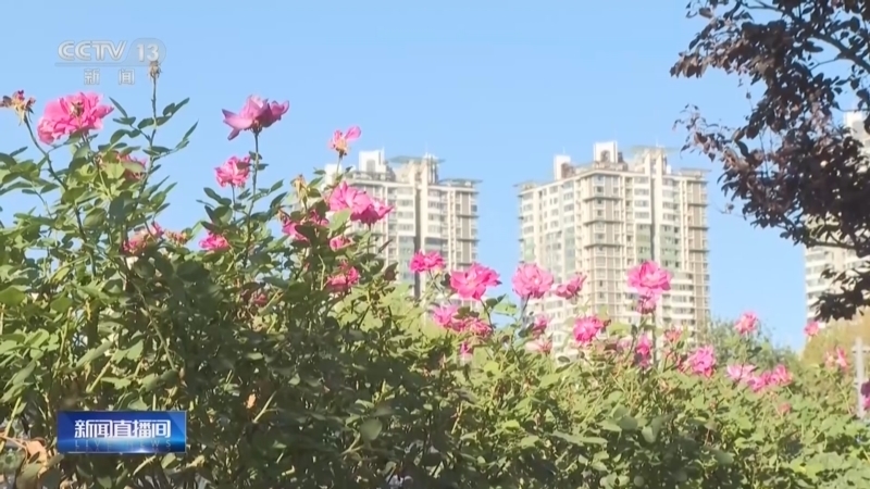 《新闻直播间》 20261014 16:00