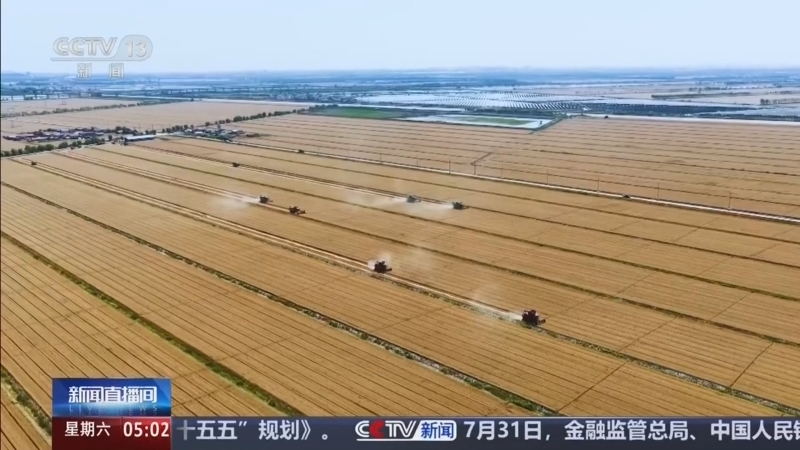 新闻直播间 《新闻直播间》 20260801 05:00