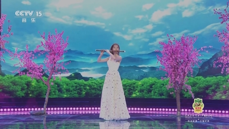 风华国乐 《风华国乐》 20250831