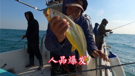 赶风后出海，今天黄鱼个头真大一斤多的连着拉，这样钓鱼要发财啊