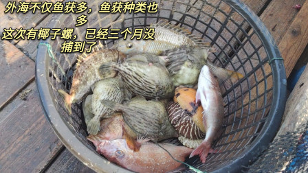 南澳岛赶海日记 外海这里不仅渔获多，鱼的种类也多，连三个月没捕到的椰子螺也来了