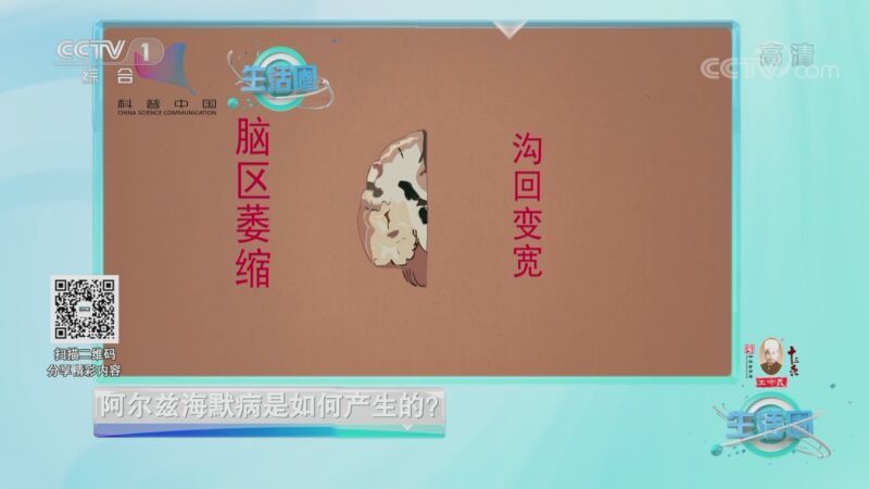 生活圈 《生活圈》 20201027