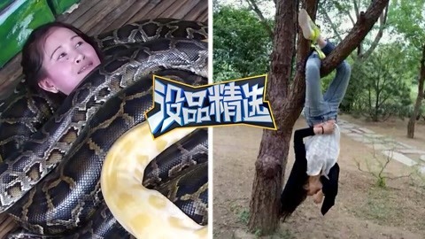 没品精选 【没品精选】玩蛇的妹子惹不起啊！女神会武术流氓也挡不住