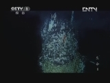 魅力纪录（CCTV-1综合频道） 《魅力纪录》 20120425 生命 第八集 深海生物