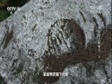 地理中国 《地理中国》 20170912 奇石怪象·米仓山上飘香石（上）
