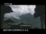 法治视界 法治视界 2011年 第38期 丫头村官