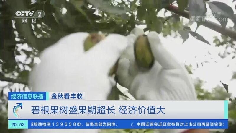 经济信息联播 《经济信息联播》 20200926