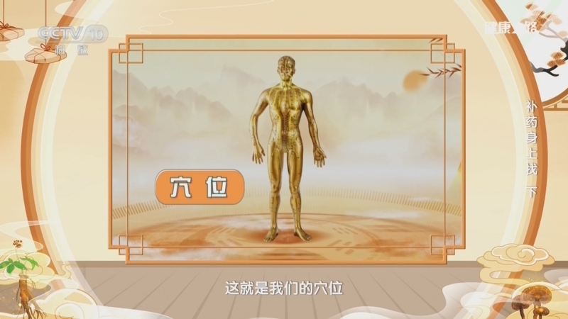 《健康之路》 20260615 补药身上找（下）
