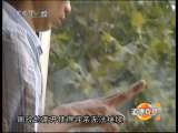 道德观察 离开他还是嫁给他