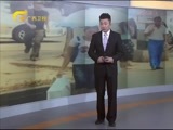 新闻夜总汇 《新闻大通道》 20160226