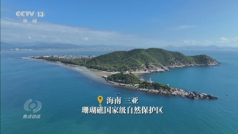 焦点访谈 《焦点访谈》 20260608 绘就经略海洋新“蓝”图