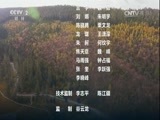 环球经济连线 《环球财经连线》 20161030