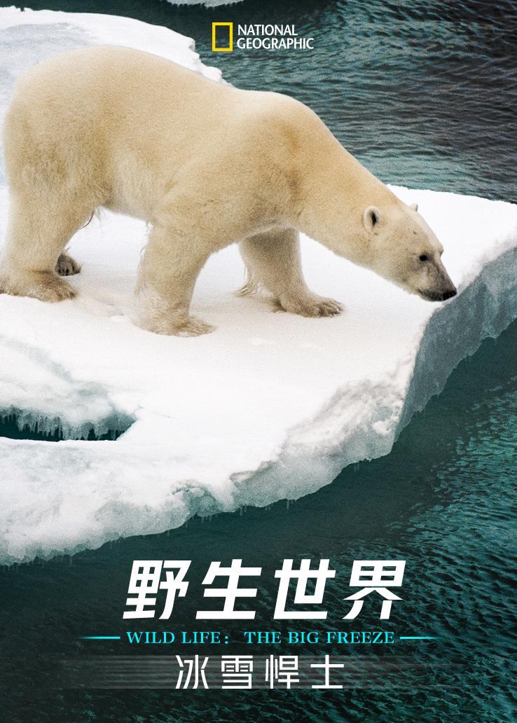 野生世界：冰雪悍士