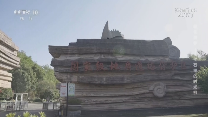 跟着书本去旅行 《跟着书本去旅行》 20260209 暖冬游学——化石里的时光机