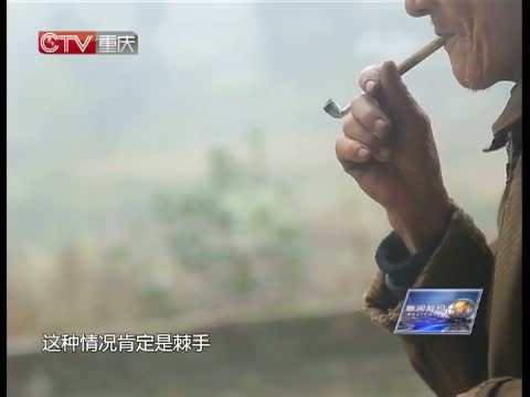 新闻解码 《新闻解码》 20150106 家暴，何止是家事！