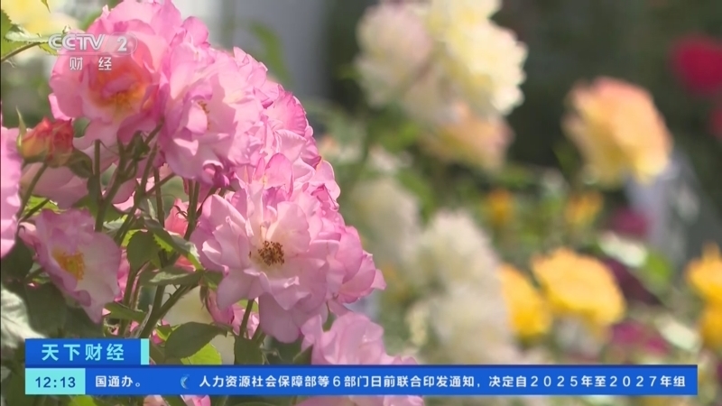 《天下财经》 20250511