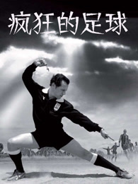 疯狂的足球（2013）